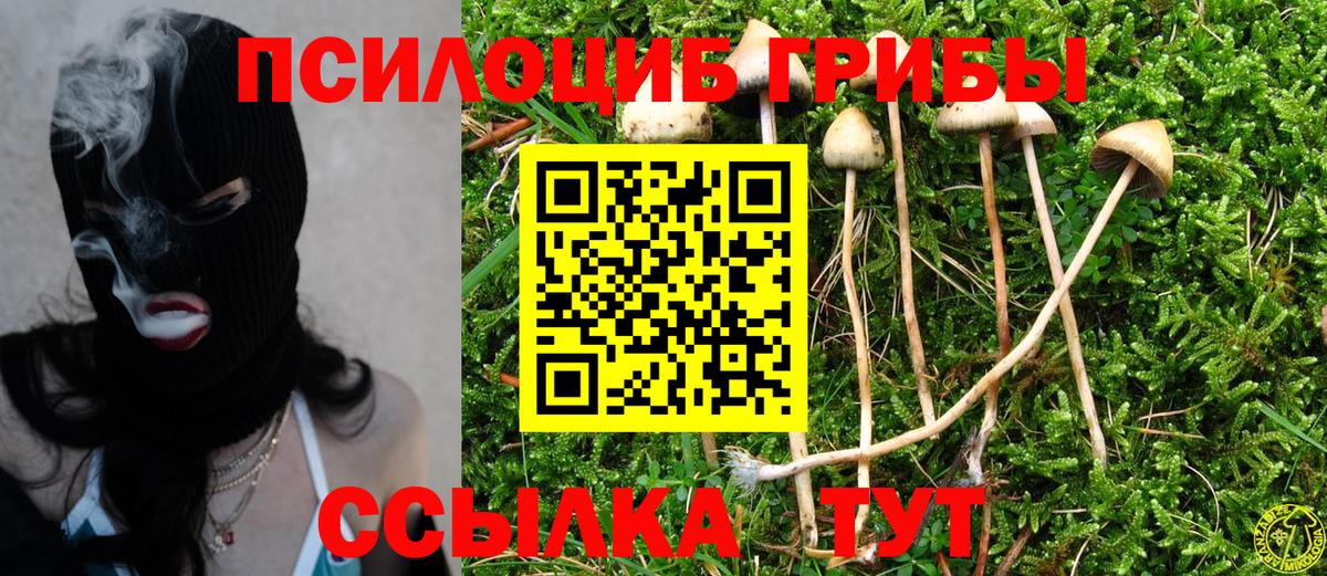 Новый Уренгой  Псилоцибиновые грибы MAGIC MUSHROOMS  Псилоцибиновые грибы ЛСД  Вход с VPN 